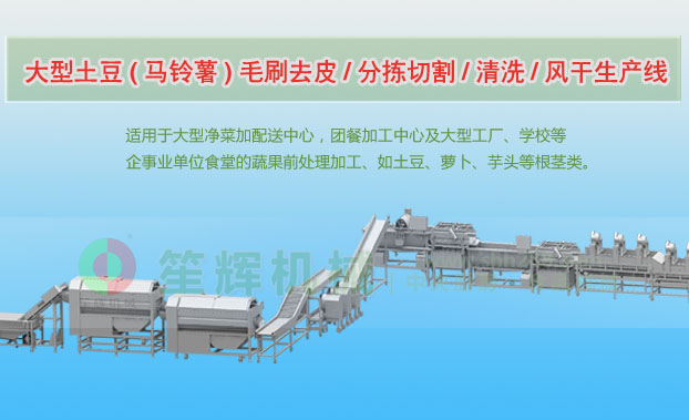 中宁连续式土豆去皮清洗切割风干生产线